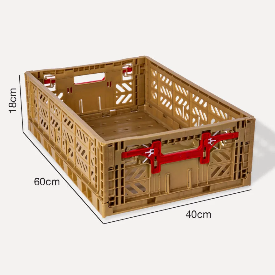 Aykasa Maxibox Comfort Lock Folding Crate 23.6 x 15.7 x 7.1 in – Gold – image 4